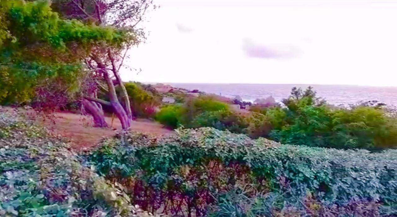 Villetta Dei Ginepri Costa Paradiso Eksteriør bilde