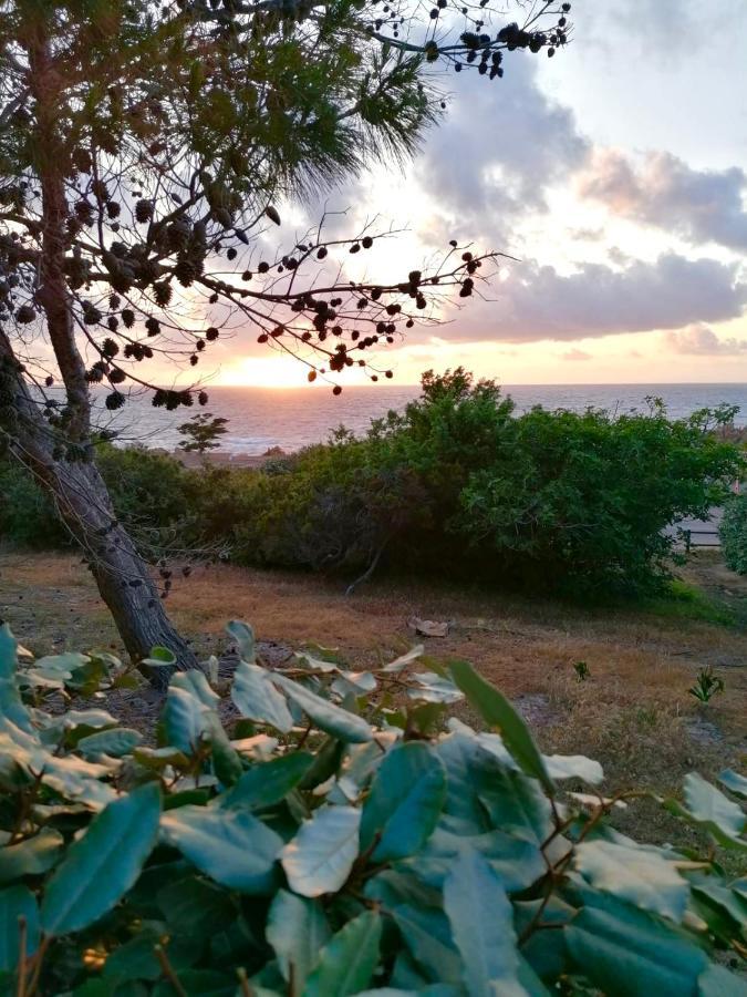 Villetta Dei Ginepri Costa Paradiso Eksteriør bilde