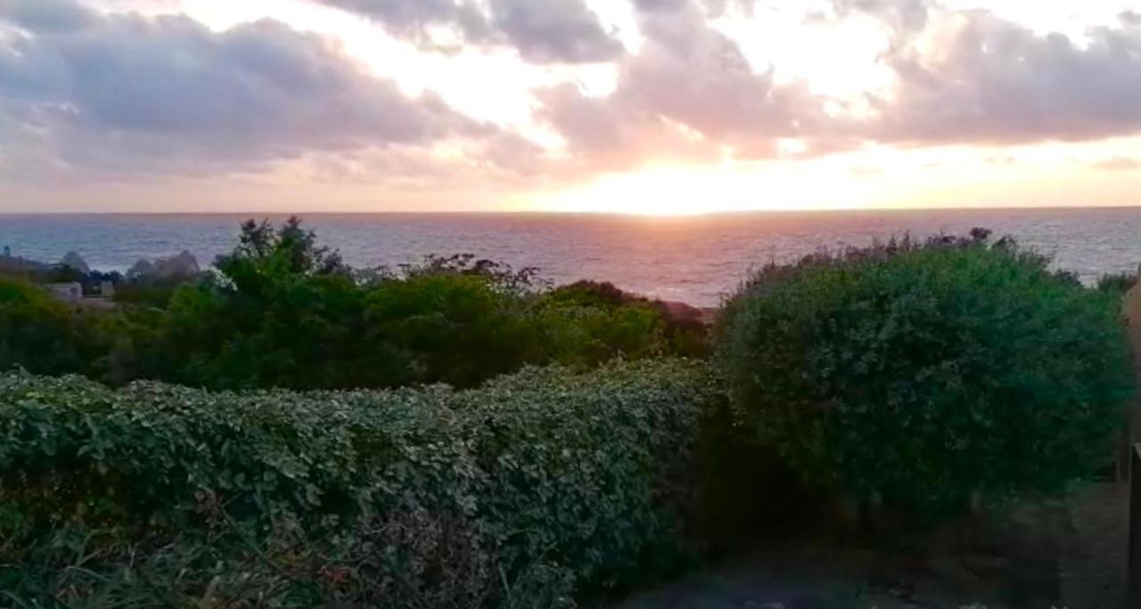 Villetta Dei Ginepri Costa Paradiso Eksteriør bilde