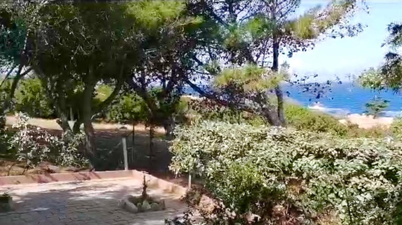Villetta Dei Ginepri Costa Paradiso Eksteriør bilde
