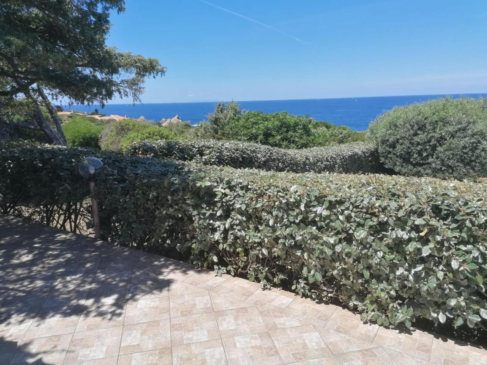 Villetta Dei Ginepri Costa Paradiso Eksteriør bilde